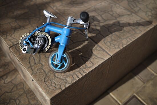 Smallest bicycle in the world online