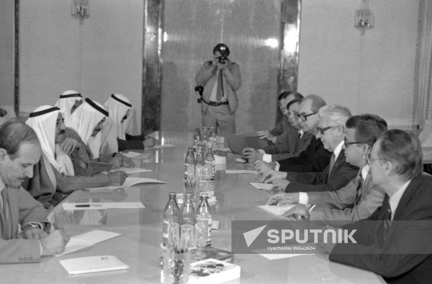 Delegation of Committee of League of Arab States visits USSR