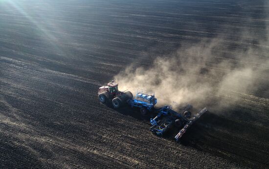 Russia Sowing