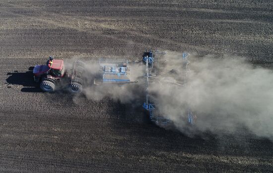 Russia Sowing