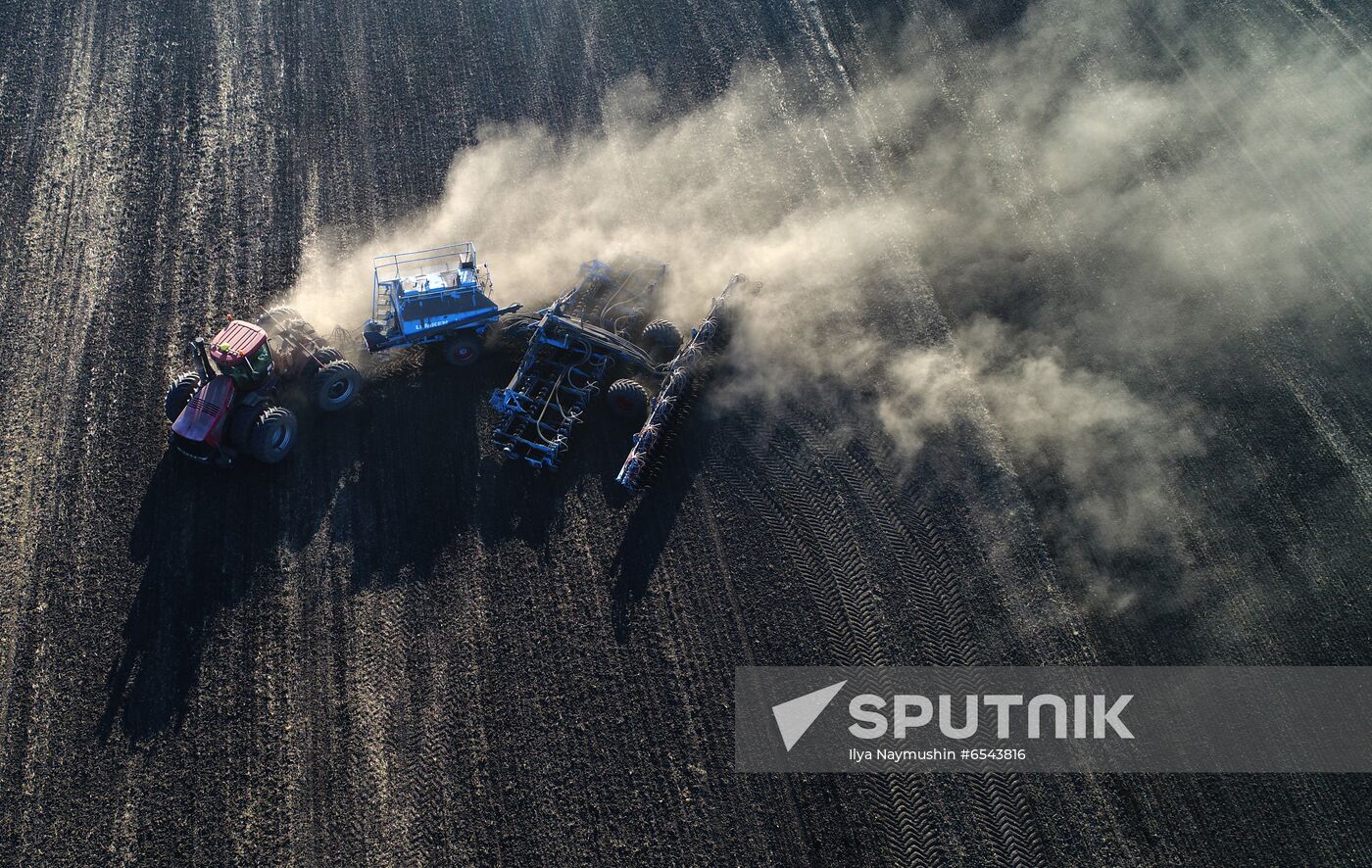 Russia Sowing