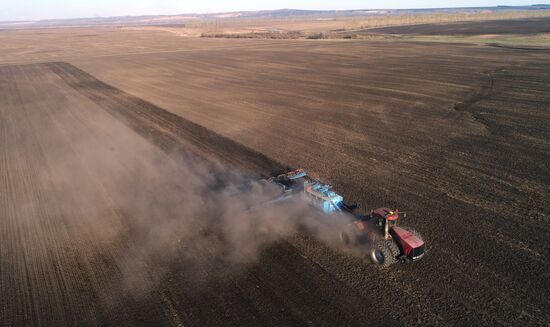 Russia Sowing
