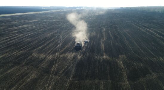 Russia Sowing