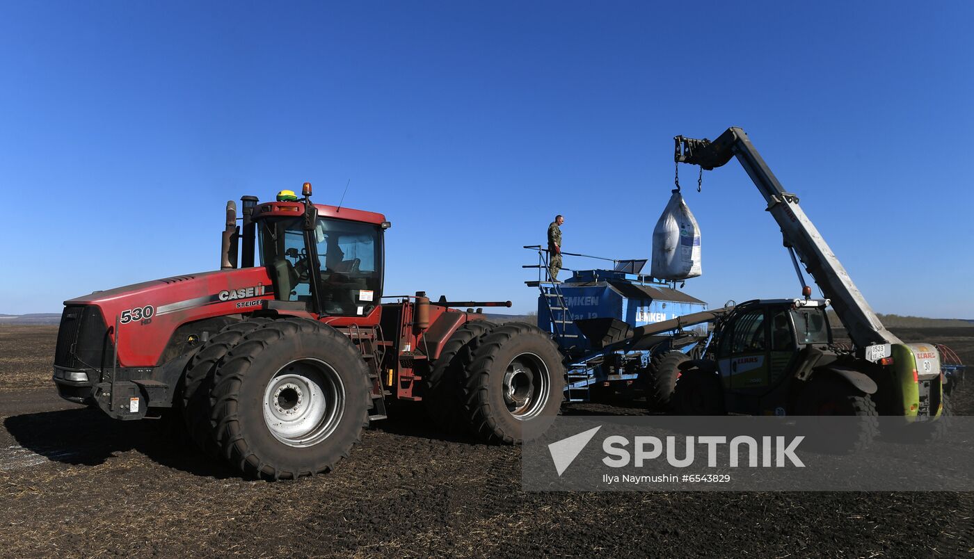 Russia Sowing