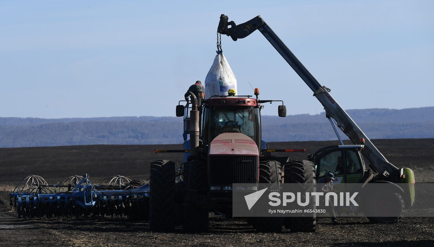 Russia Sowing