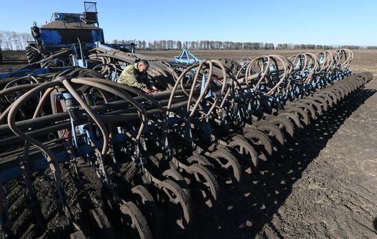 Russia Sowing