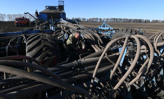 Russia Sowing