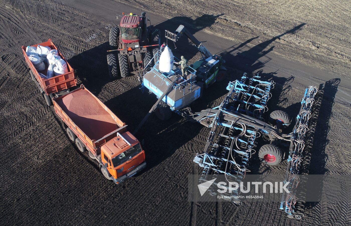 Russia Sowing