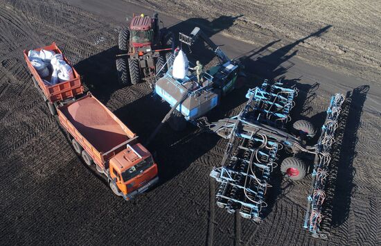 Russia Sowing