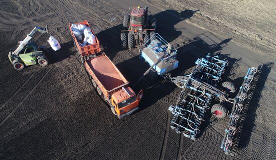Russia Sowing