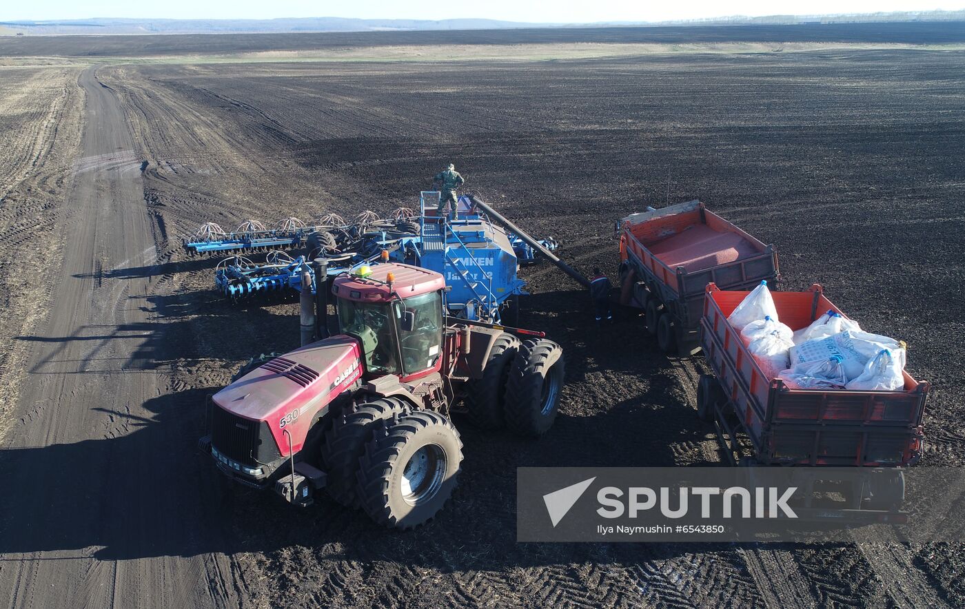 Russia Sowing