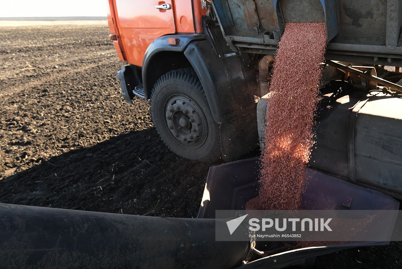 Russia Sowing