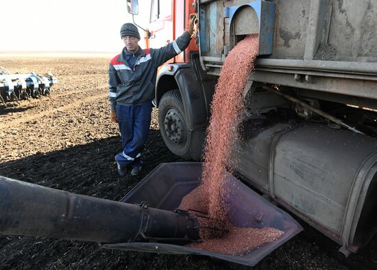 Russia Sowing