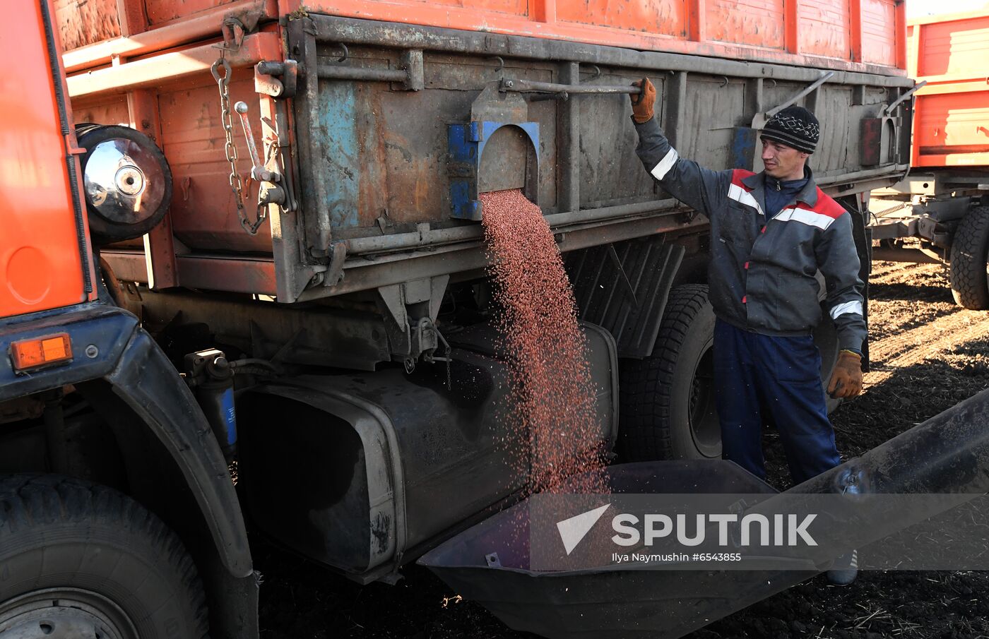 Russia Sowing