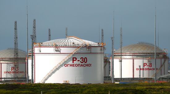 Russia Cargo Therminal