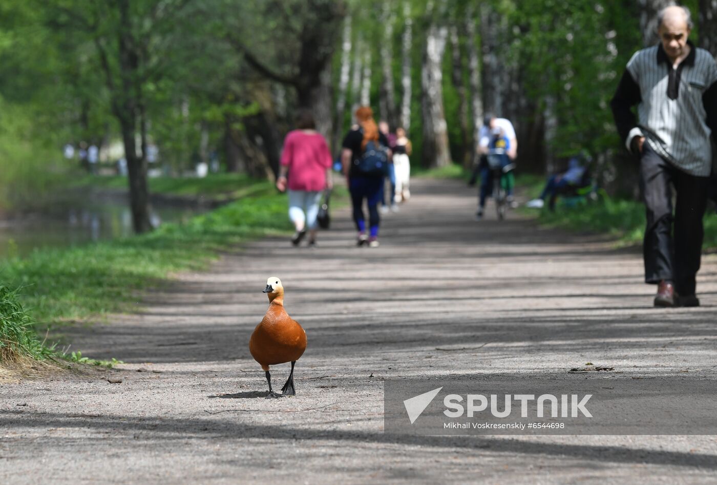 Russia Daily Life