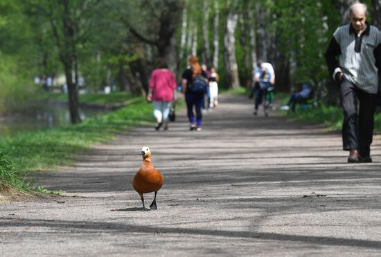 Russia Daily Life