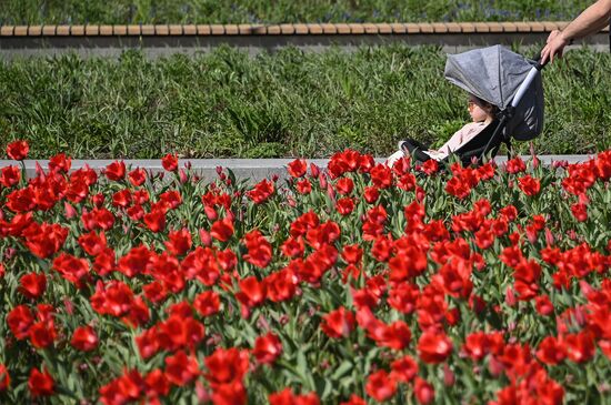 Russia Daily Life