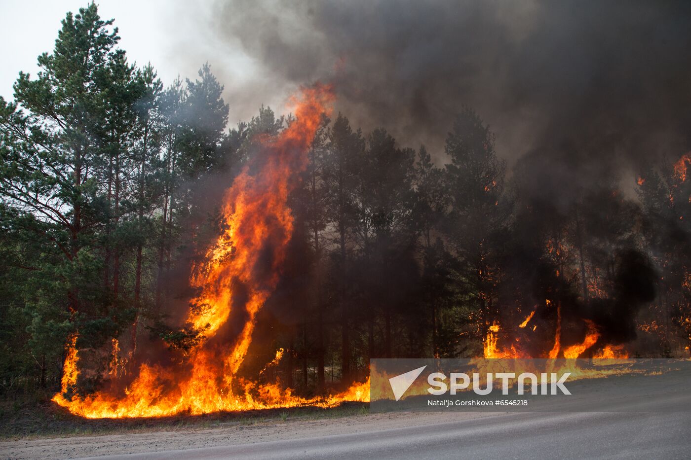 Russia Wildfires
