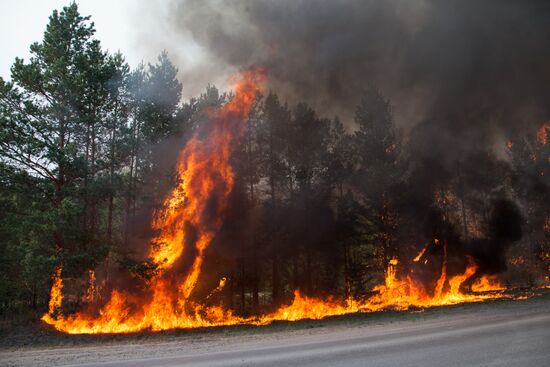 Russia Wildfires