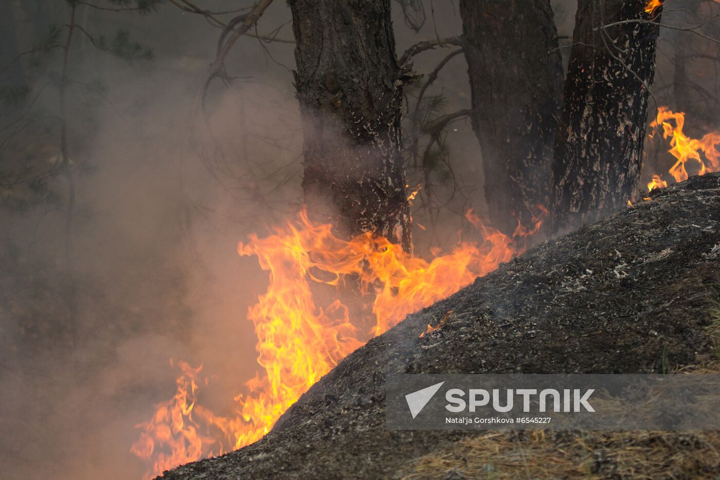 Russia Wildfires