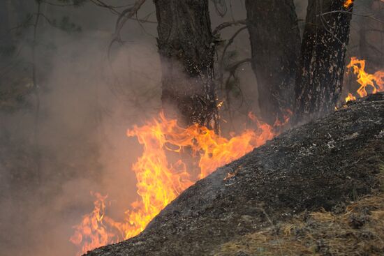 Russia Wildfires