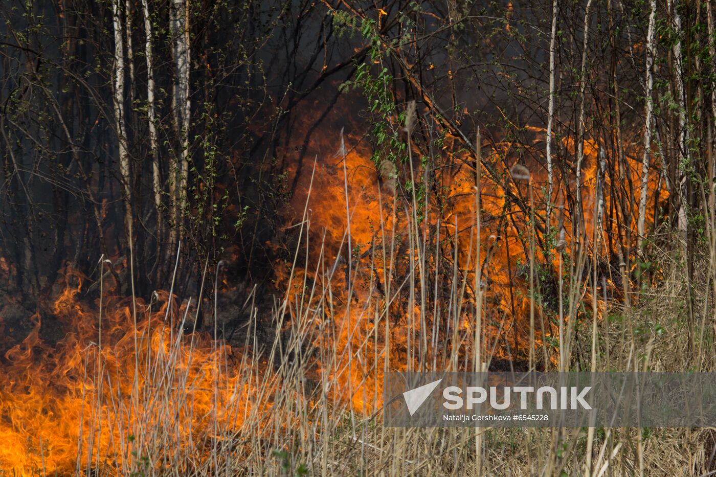 Russia Wildfires