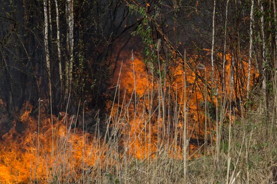 Russia Wildfires