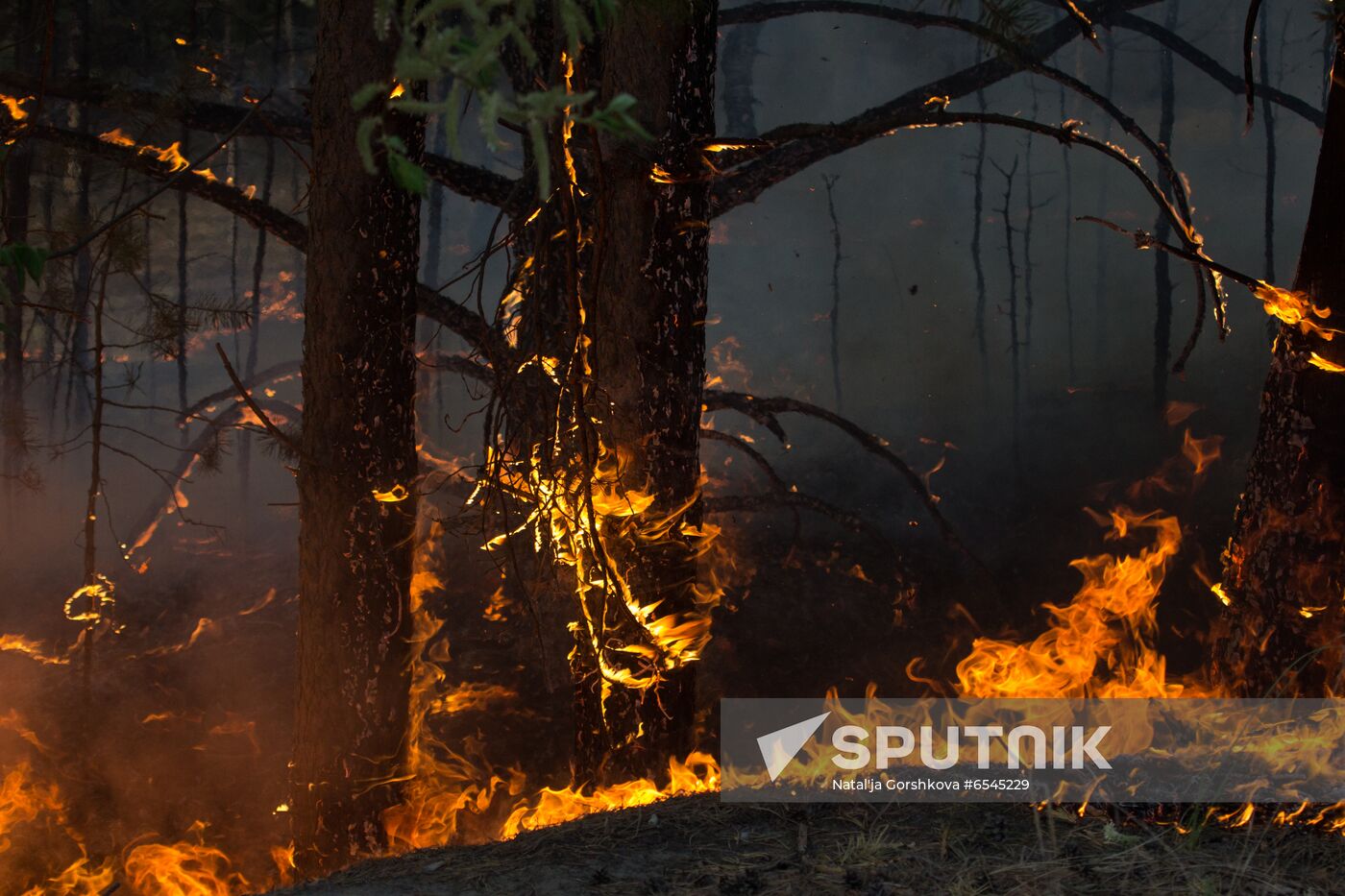 Russia Wildfires