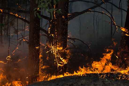 Russia Wildfires