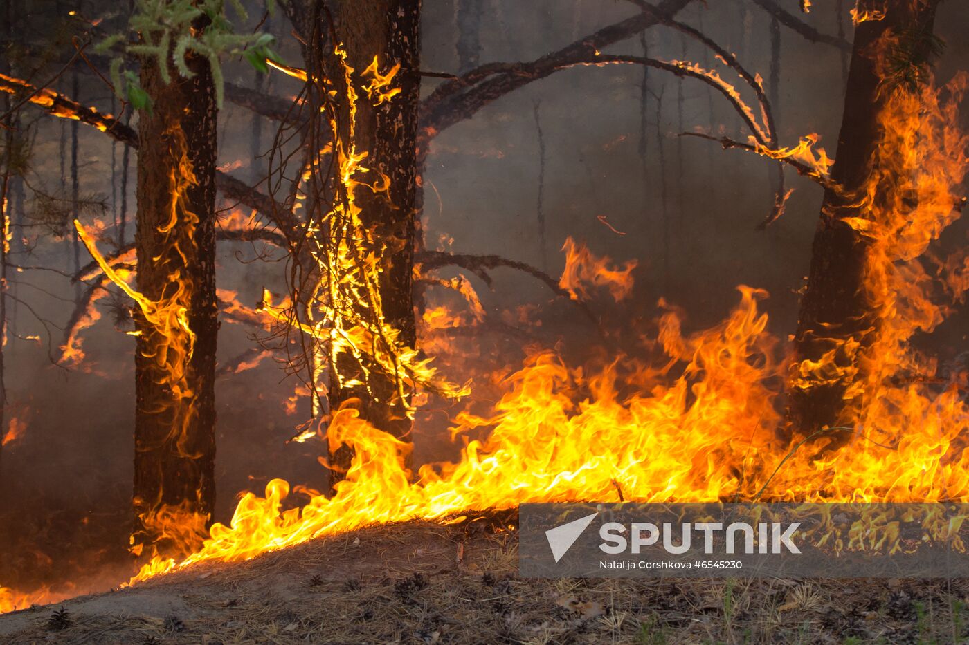 Russia Wildfires