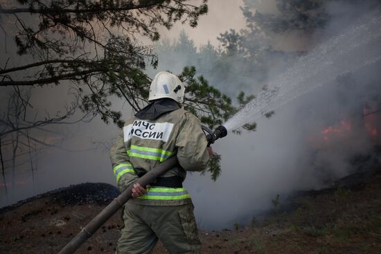 Russia Wildfires