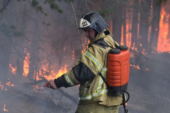 Russia Wildfires