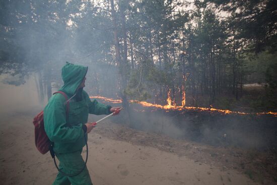 Russia Wildfires