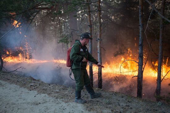 Russia Wildfires