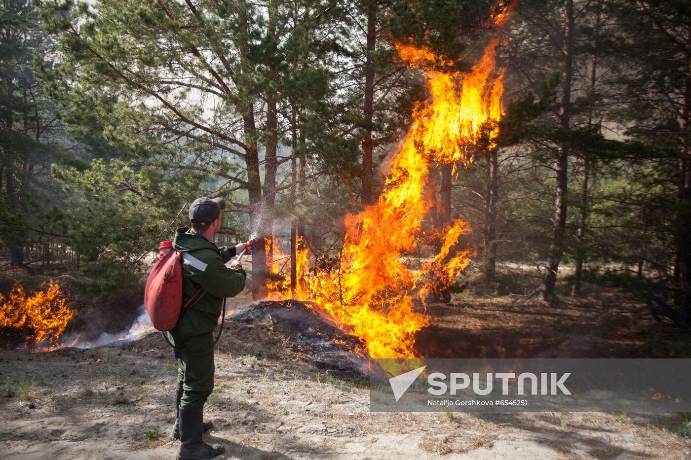 Russia Wildfires