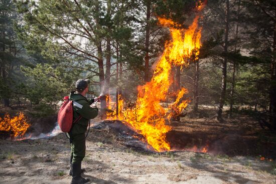 Russia Wildfires