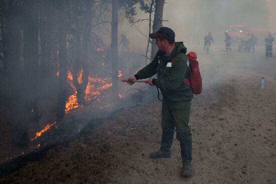 Russia Wildfires