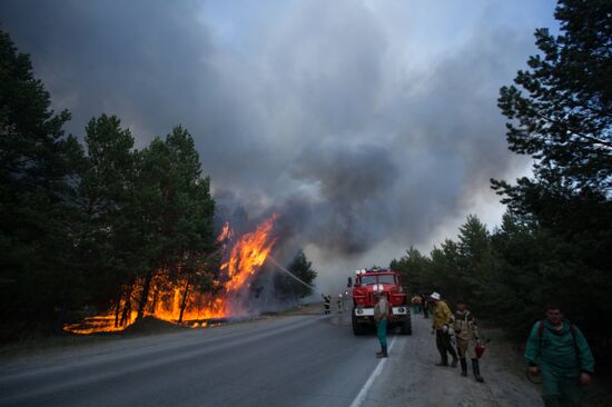 Russia Wildfires