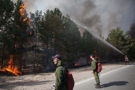 Russia Wildfires
