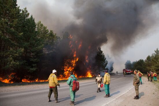 Russia Wildfires