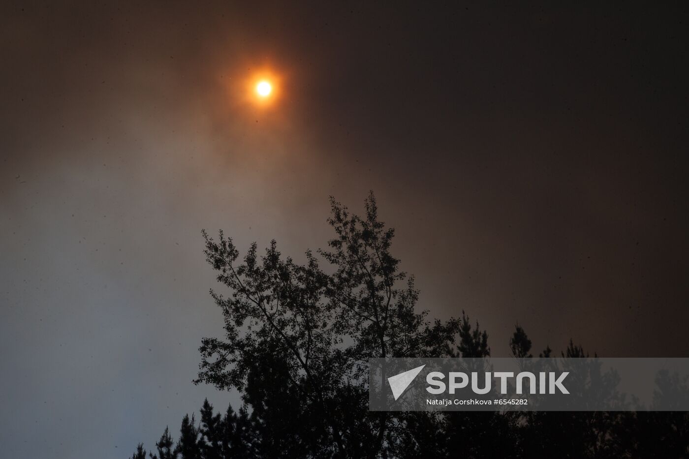 Russia Wildfires