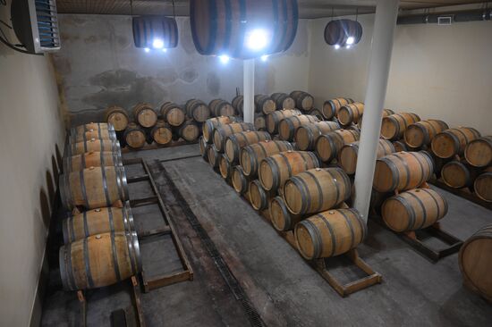 Russia Winery