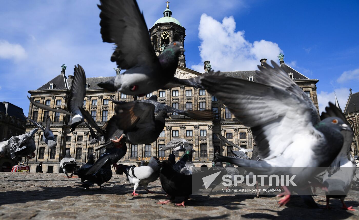 Netherlands Tourism