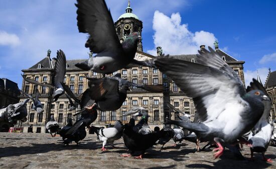 Netherlands Tourism