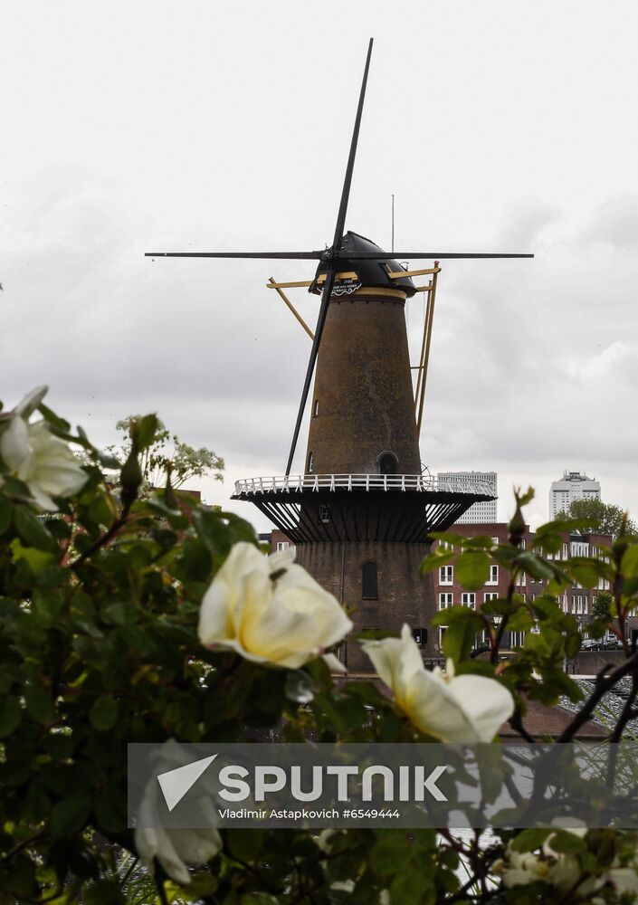 Netherlands Tourism