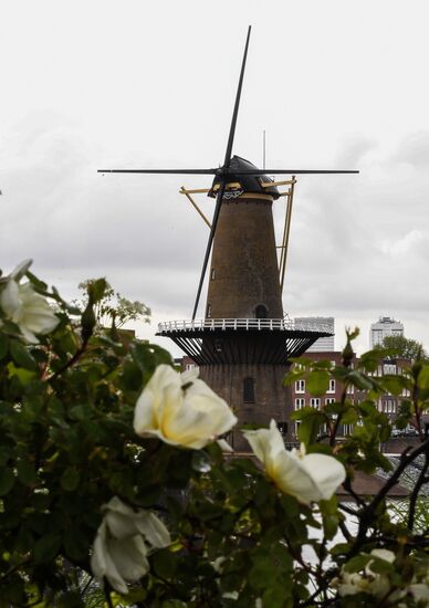 Netherlands Tourism