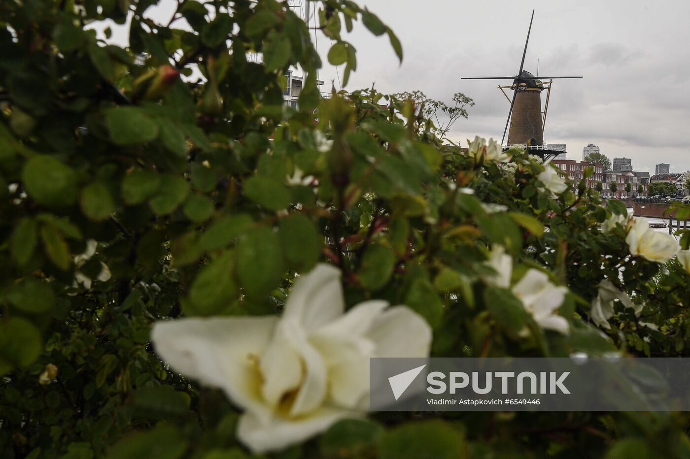 Netherlands Tourism