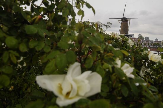 Netherlands Tourism