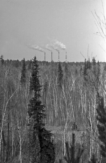 Baikalsk Pulp and Paper Mill pipes